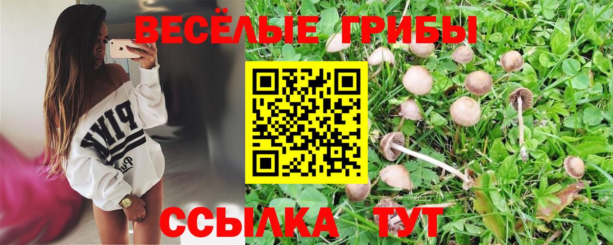 Галлюциногенные грибы Psilocybe Кунгур