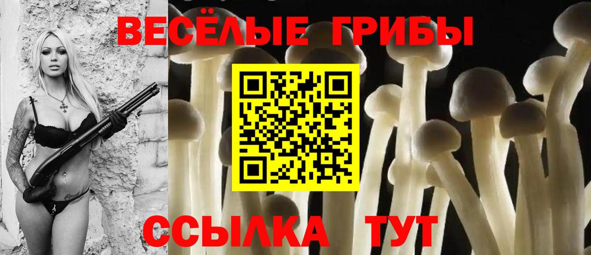 Псилоцибиновые грибы мухоморы  Псилоцибиновые грибы прущие грибы  Вход с VPN  где можно купить наркотик  Кунгур 